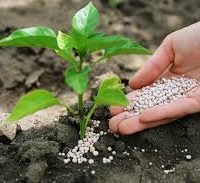 soil treatment and conditioners