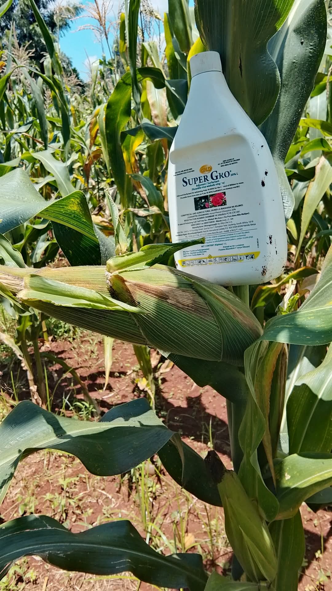 SUPER GRO FOLIAR - Image 2
